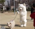/album/vtipne-obrazky/dog-walker-jpg/